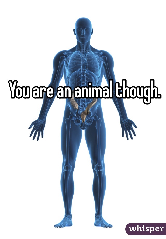 You are an animal though. 