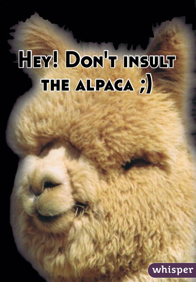 Hey! Don't insult the alpaca ;)
