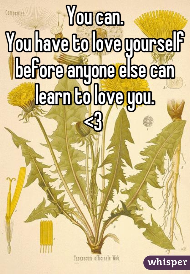 You can. 
You have to love yourself before anyone else can learn to love you. 
<3 