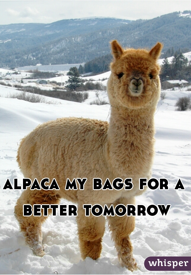 alpaca my bags for a better tomorrow