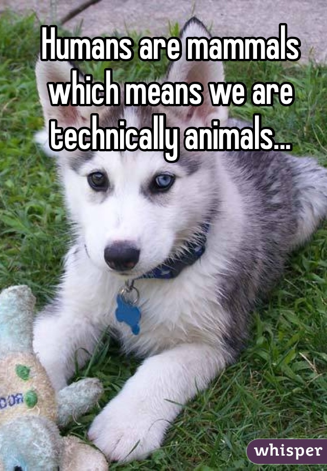 Humans are mammals which means we are technically animals...