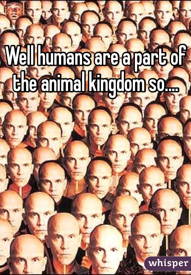 Well humans are a part of the animal kingdom so....