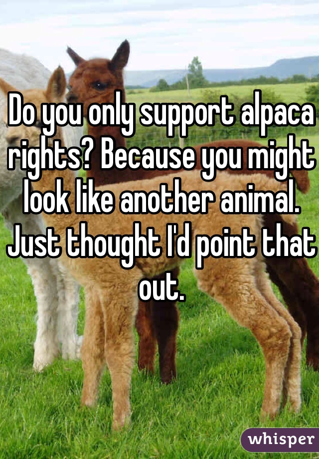 Do you only support alpaca rights? Because you might look like another animal.
Just thought I'd point that out.