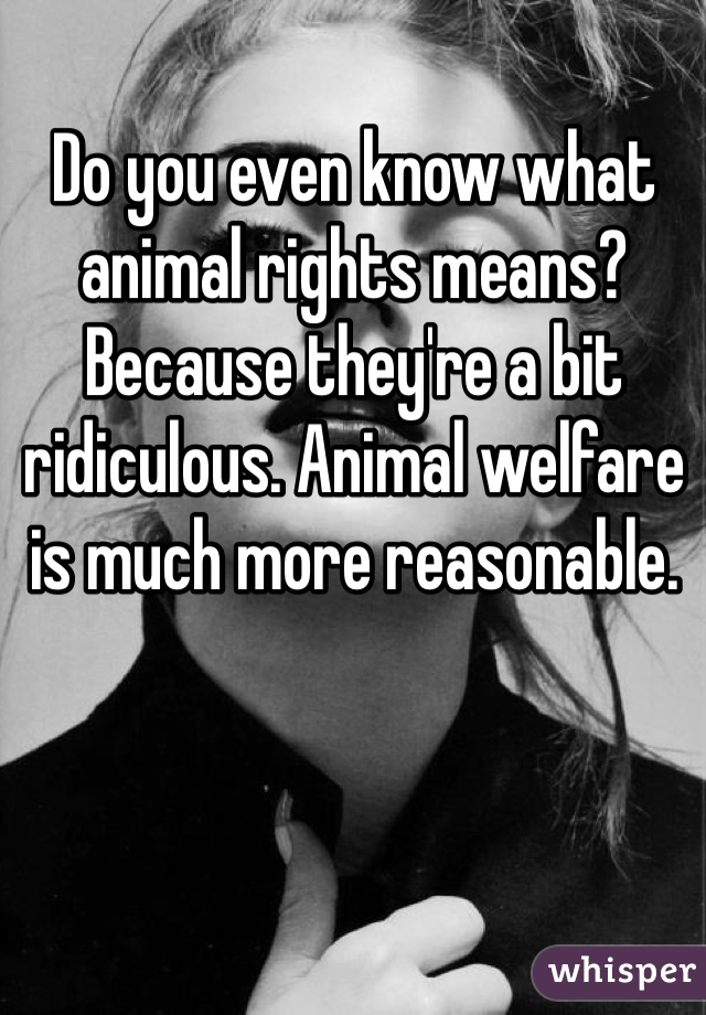 Do you even know what animal rights means? Because they're a bit ridiculous. Animal welfare is much more reasonable. 