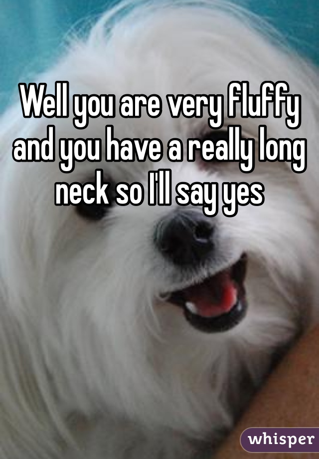 Well you are very fluffy and you have a really long neck so I'll say yes