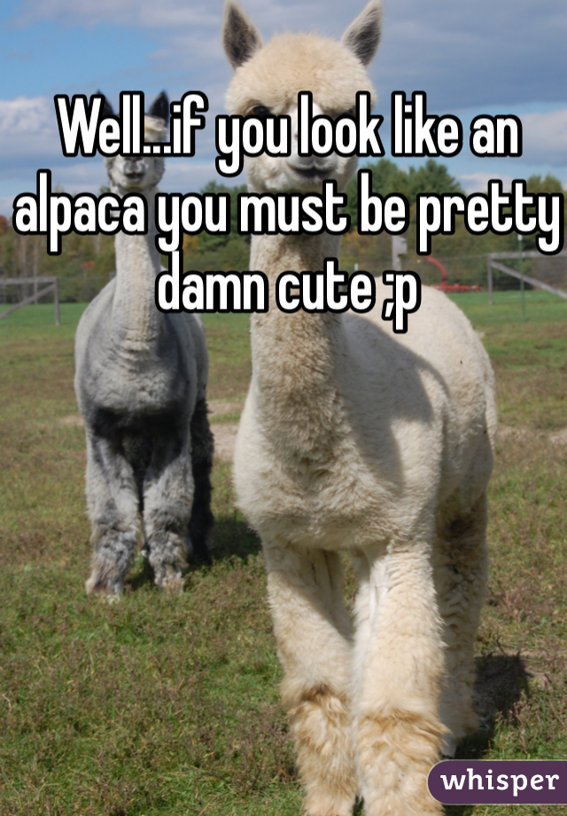 Well...if you look like an alpaca you must be pretty damn cute ;p 