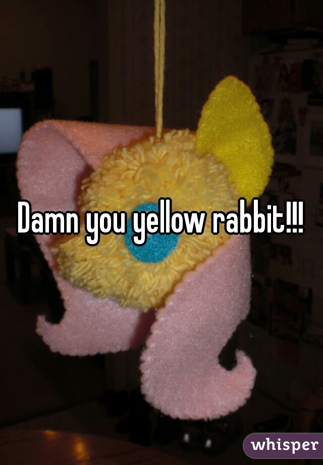 Damn you yellow rabbit!!!