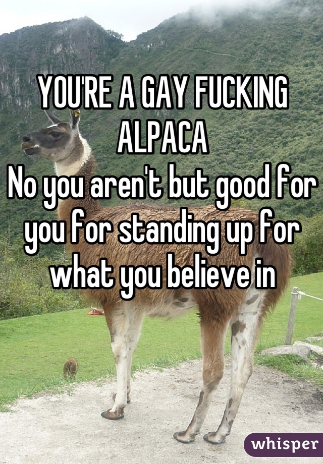 YOU'RE A GAY FUCKING ALPACA
No you aren't but good for you for standing up for what you believe in