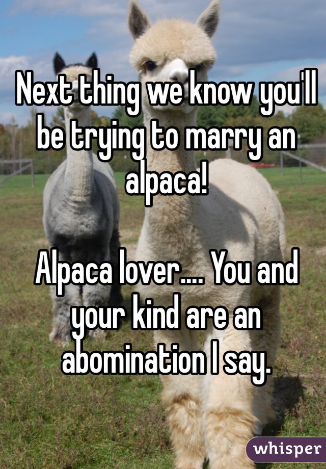 Next thing we know you'll be trying to marry an alpaca!

Alpaca lover.... You and your kind are an abomination I say.