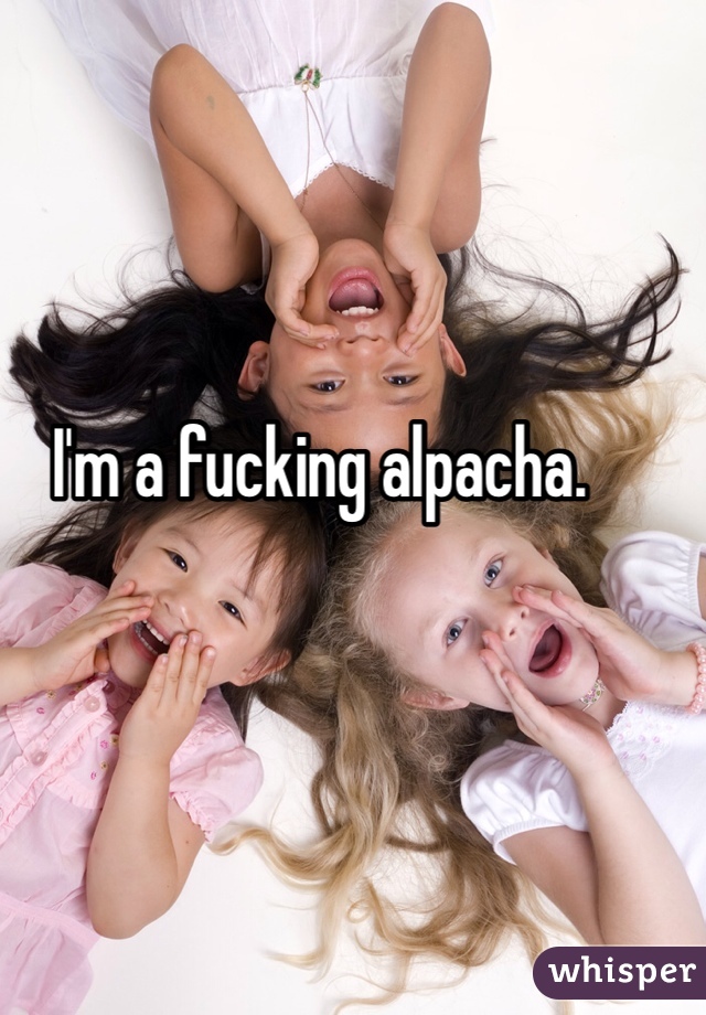 I'm a fucking alpacha.