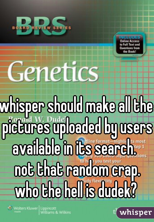 whisper should make all the pictures uploaded by users available in its search.  
 not that random crap.
who the hell is dudek?