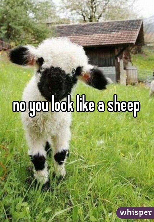 no you look like a sheep