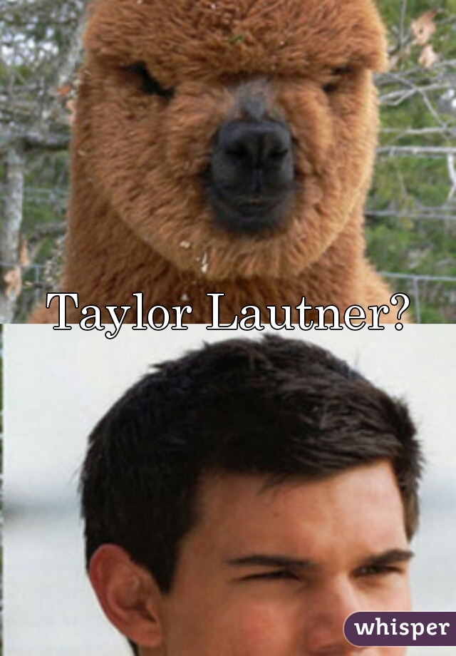 Taylor Lautner?