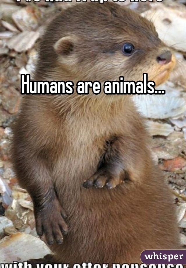 Humans are animals...