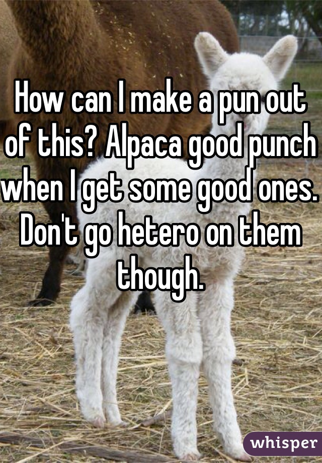 How can I make a pun out of this? Alpaca good punch when I get some good ones. Don't go hetero on them though.