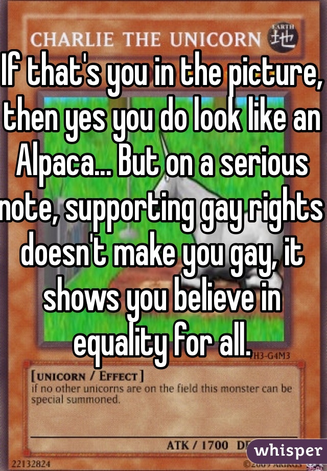 If that's you in the picture, then yes you do look like an Alpaca... But on a serious note, supporting gay rights doesn't make you gay, it shows you believe in equality for all.