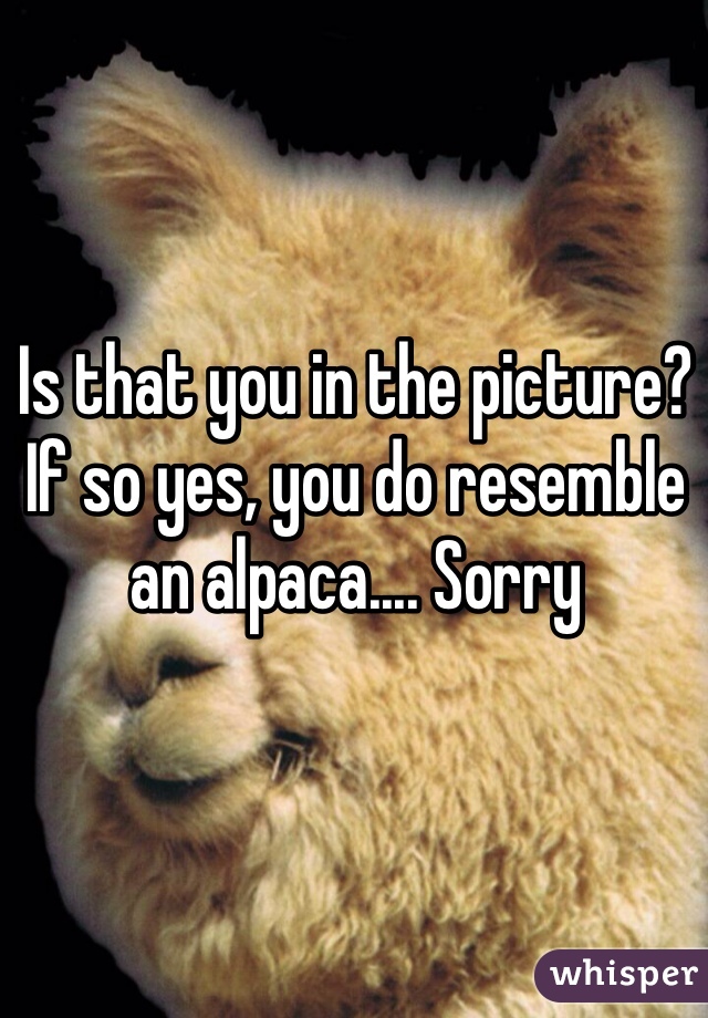 Is that you in the picture? If so yes, you do resemble an alpaca.... Sorry 