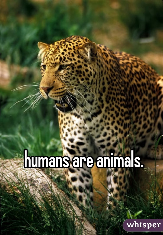 humans are animals. 