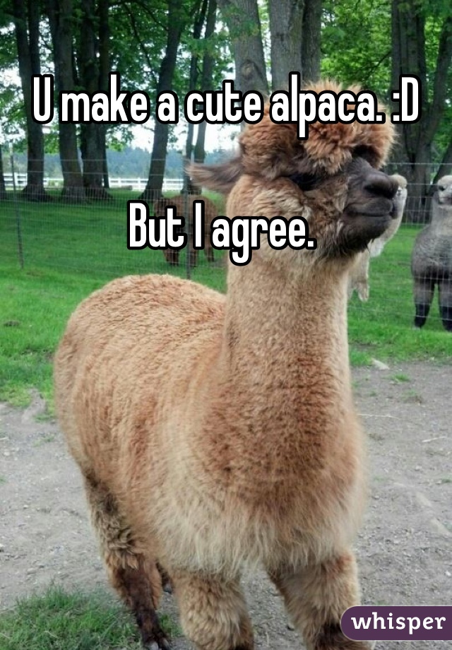 U make a cute alpaca. :D 

But I agree. 