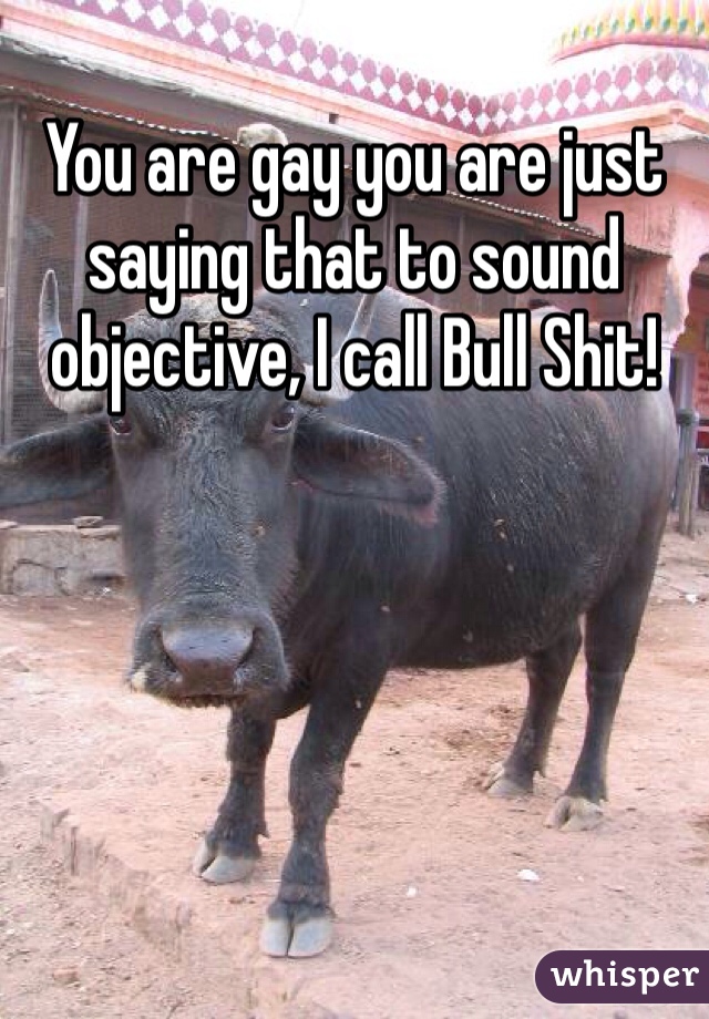 You are gay you are just saying that to sound objective, I call Bull Shit!