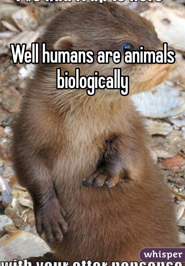 Well humans are animals biologically 