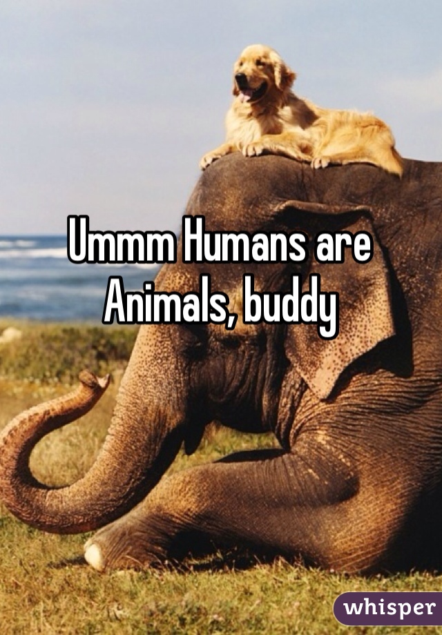 Ummm Humans are Animals, buddy