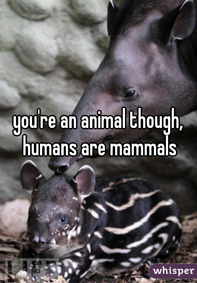 you're an animal though, humans are mammals
