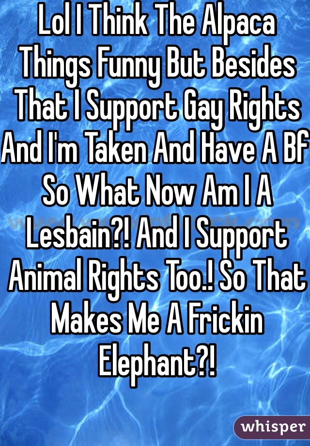 Lol I Think The Alpaca Things Funny But Besides That I Support Gay Rights And I'm Taken And Have A Bf So What Now Am I A Lesbain?! And I Support Animal Rights Too.! So That Makes Me A Frickin Elephant?!