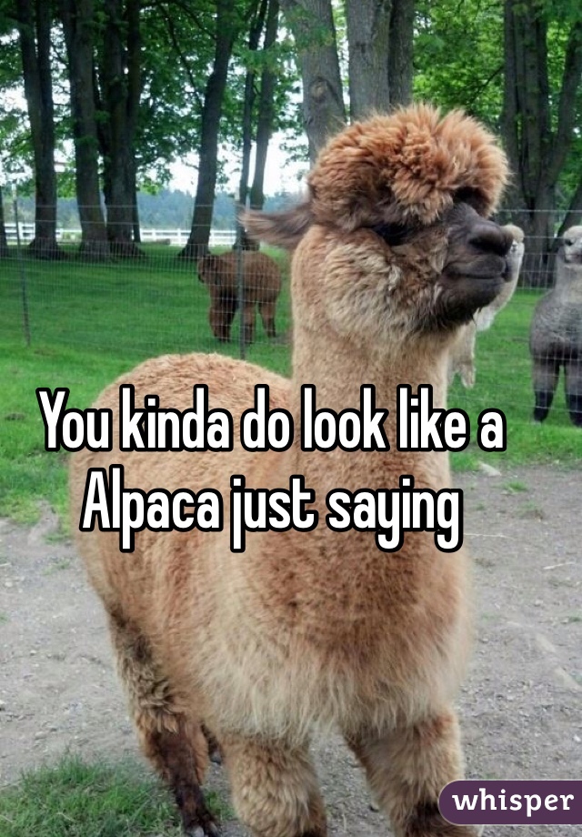 You kinda do look like a Alpaca just saying 