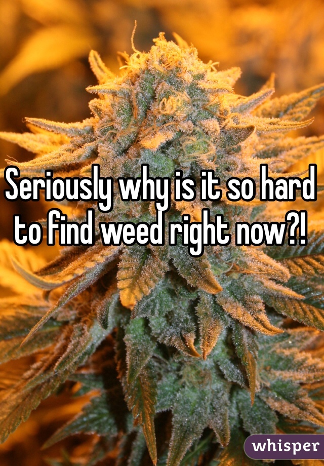 Seriously why is it so hard to find weed right now?!