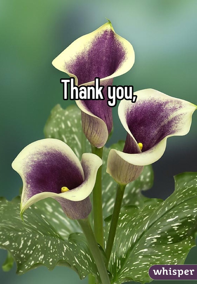 Thank you,
