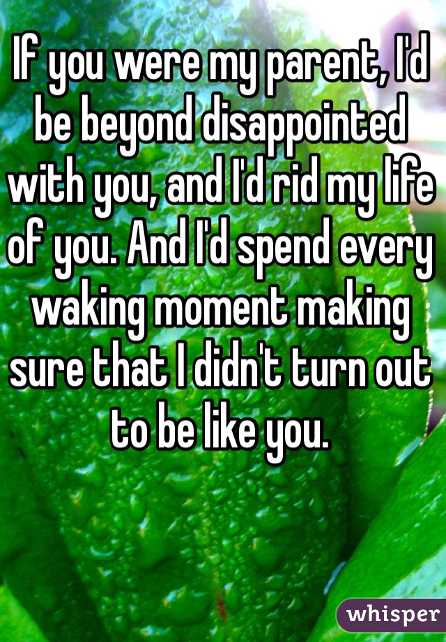 If you were my parent, I'd be beyond disappointed with you, and I'd rid my life of you. And I'd spend every waking moment making sure that I didn't turn out to be like you.