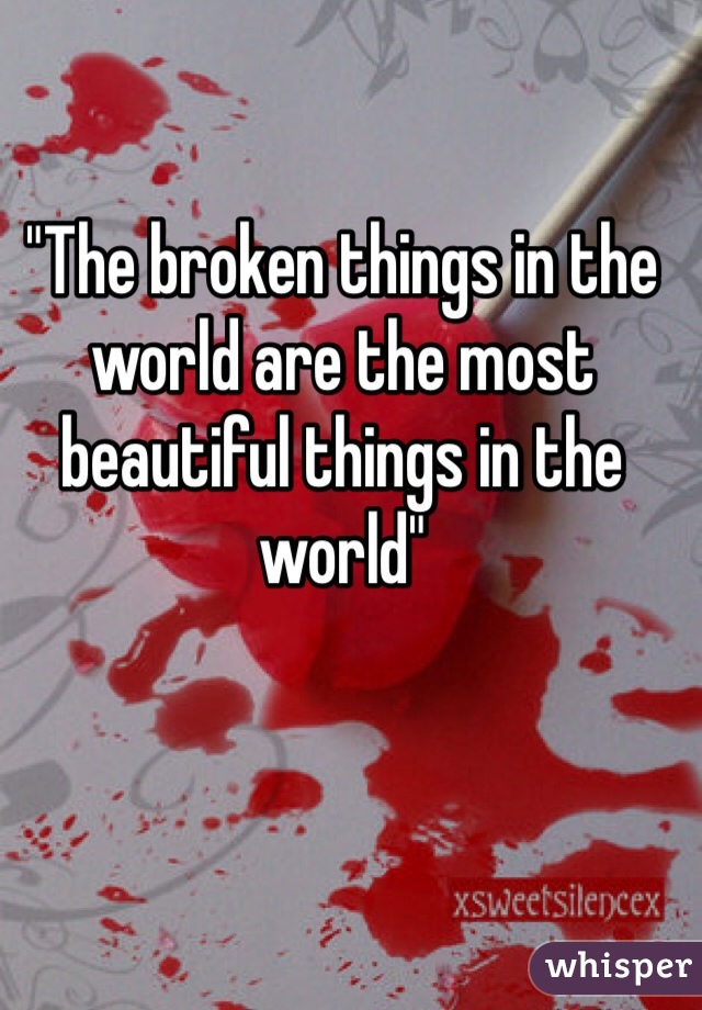 "The broken things in the world are the most beautiful things in the world" 