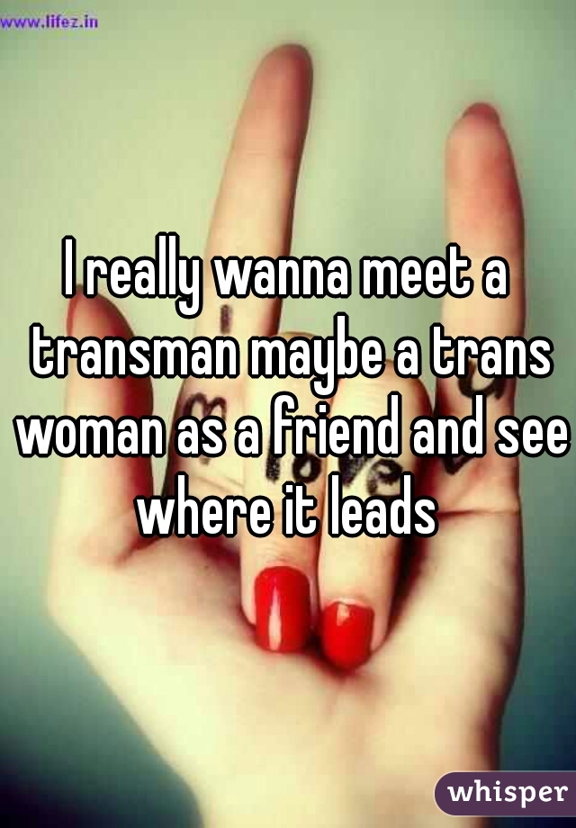 I really wanna meet a transman maybe a trans woman as a friend and see where it leads 