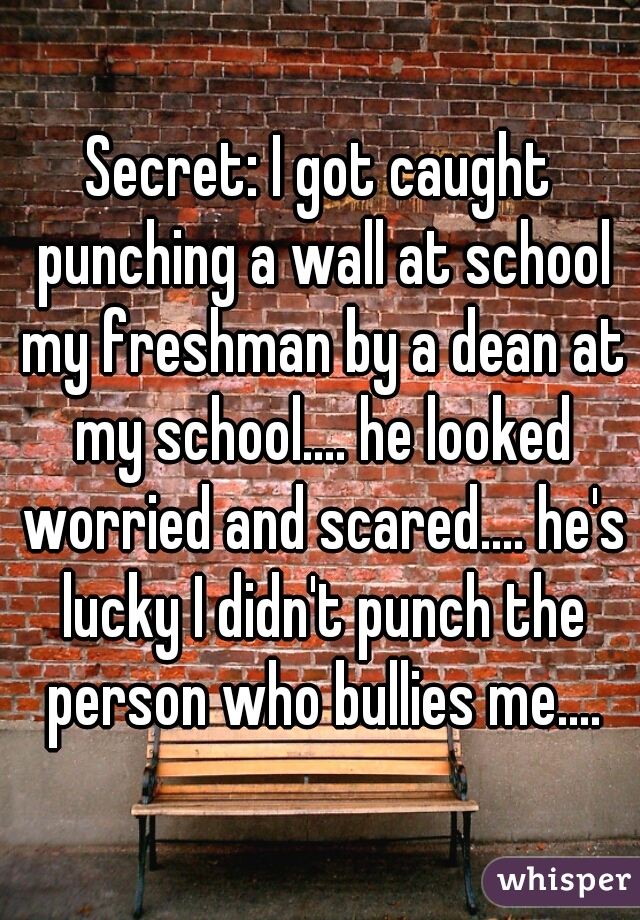 Secret: I got caught punching a wall at school my freshman by a dean at my school.... he looked worried and scared.... he's lucky I didn't punch the person who bullies me....