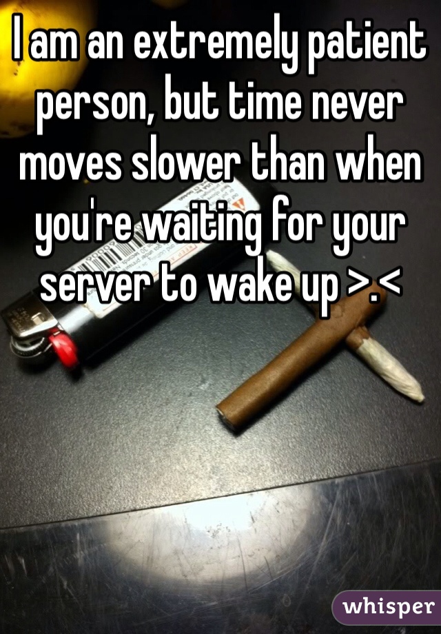 I am an extremely patient person, but time never moves slower than when you're waiting for your server to wake up >.<