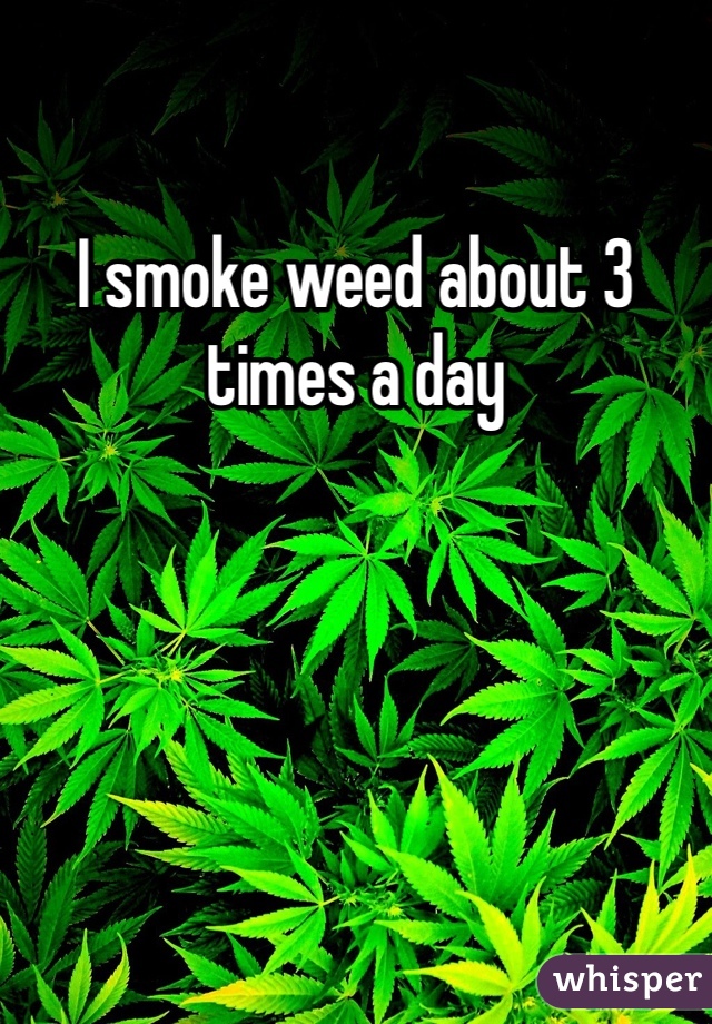 I smoke weed about 3 times a day