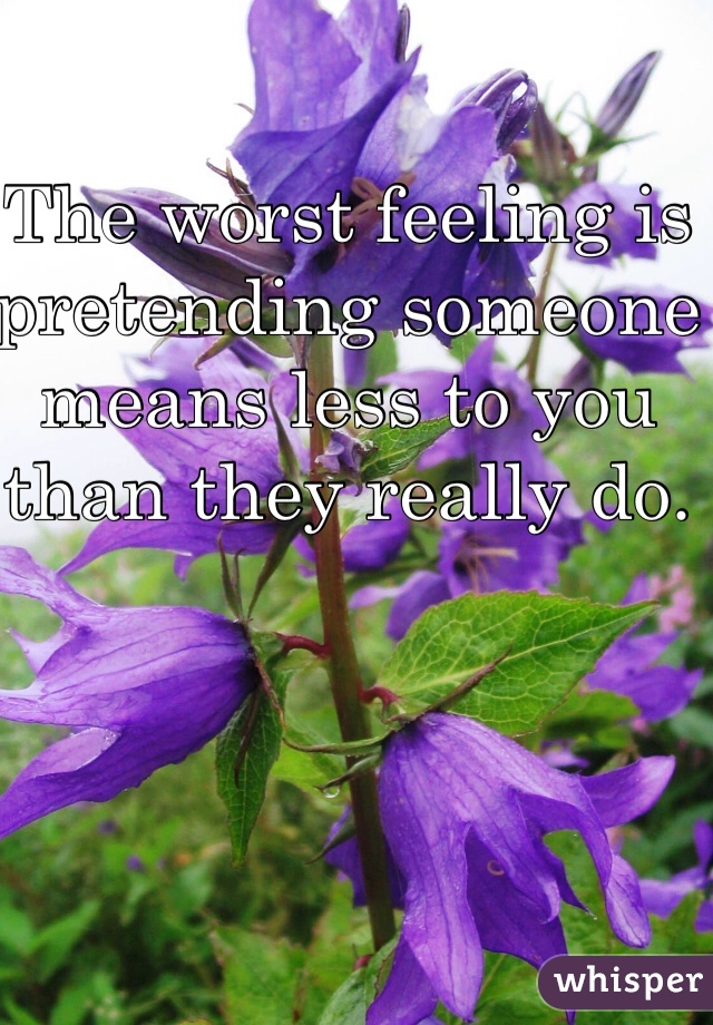 The worst feeling is pretending someone means less to you than they really do.