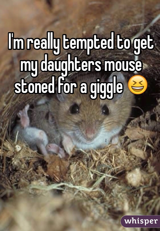 I'm really tempted to get my daughters mouse stoned for a giggle 😆
