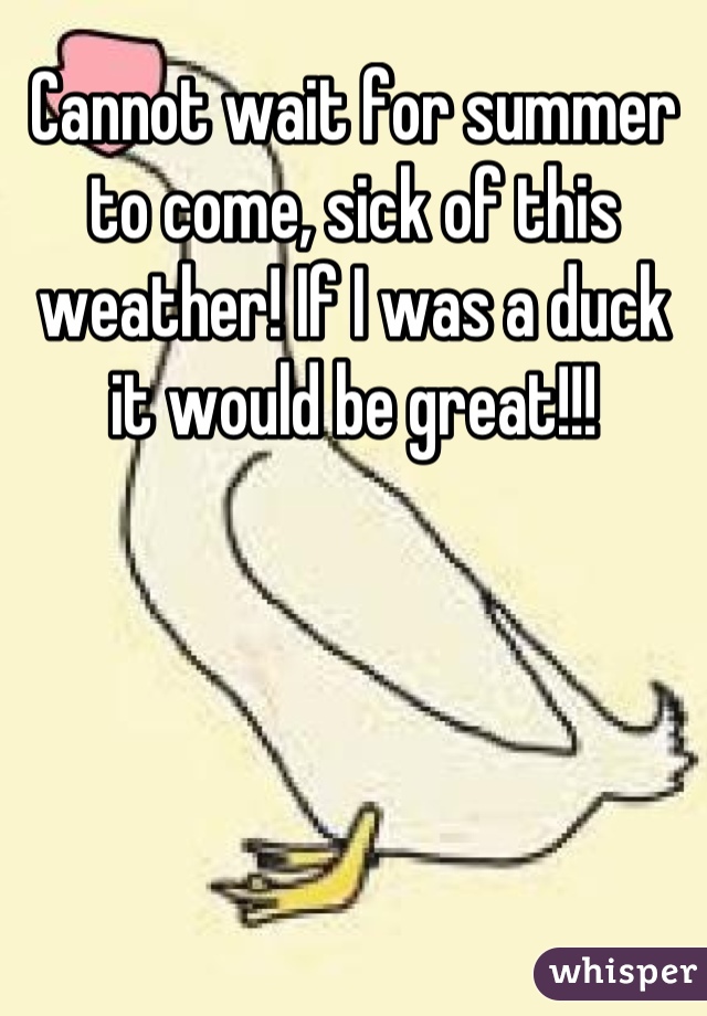 Cannot wait for summer to come, sick of this weather! If I was a duck it would be great!!!
