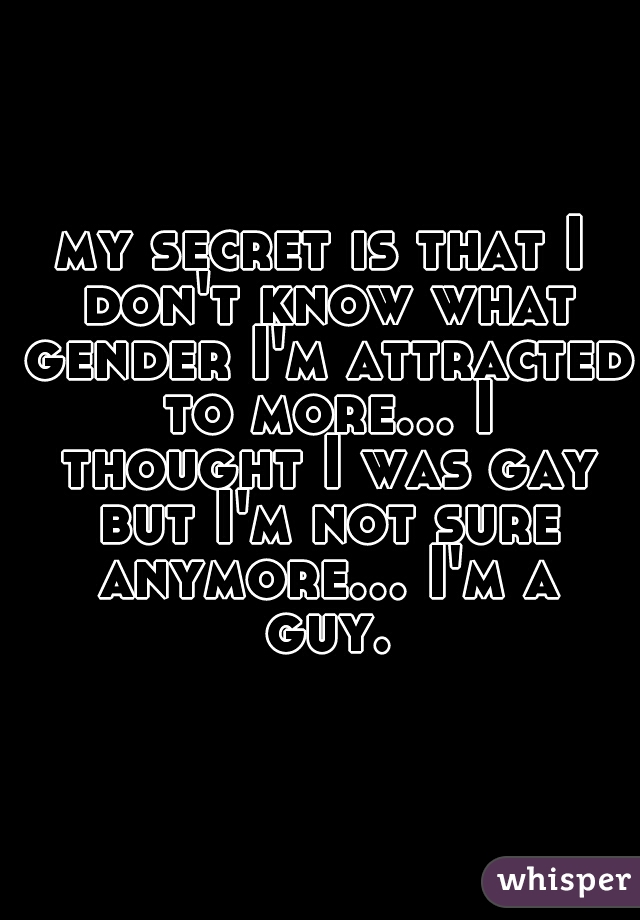 my secret is that I don't know what gender I'm attracted to more... I thought I was gay but I'm not sure anymore... I'm a guy.