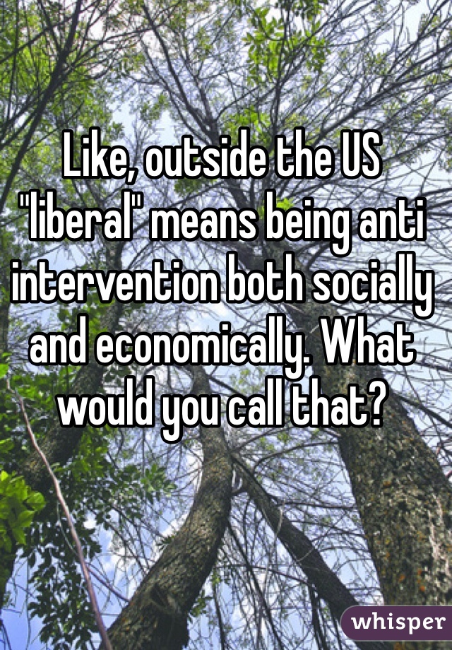 Like, outside the US "liberal" means being anti intervention both socially and economically. What would you call that?