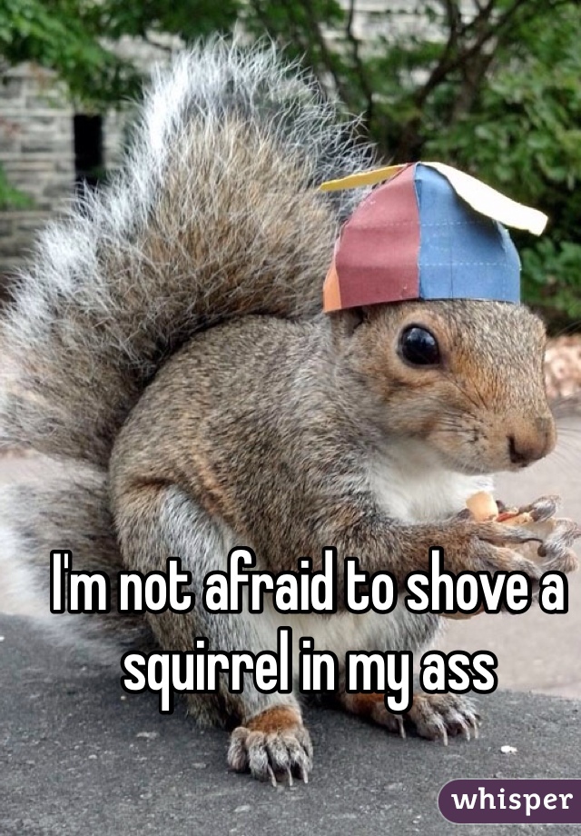 I'm not afraid to shove a squirrel in my ass
