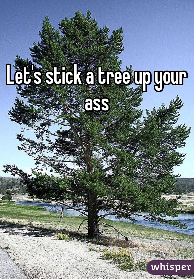 Let's stick a tree up your ass