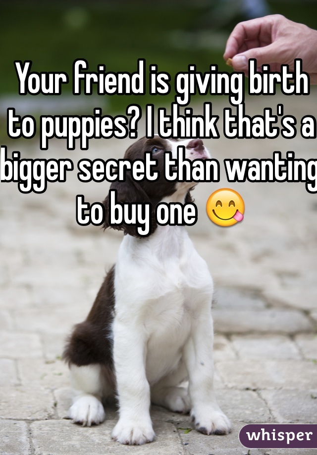 Your friend is giving birth to puppies? I think that's a bigger secret than wanting to buy one 😋