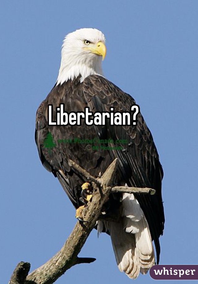 Libertarian?