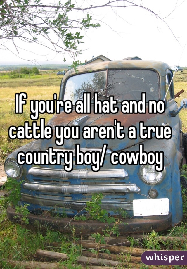 If you're all hat and no cattle you aren't a true country boy/ cowboy 