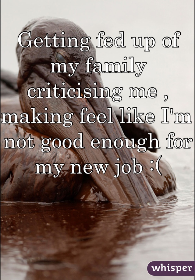 Getting fed up of my family criticising me , making feel like I'm not good enough for my new job :( 