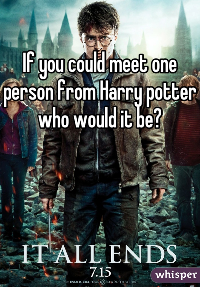 If you could meet one person from Harry potter who would it be?
