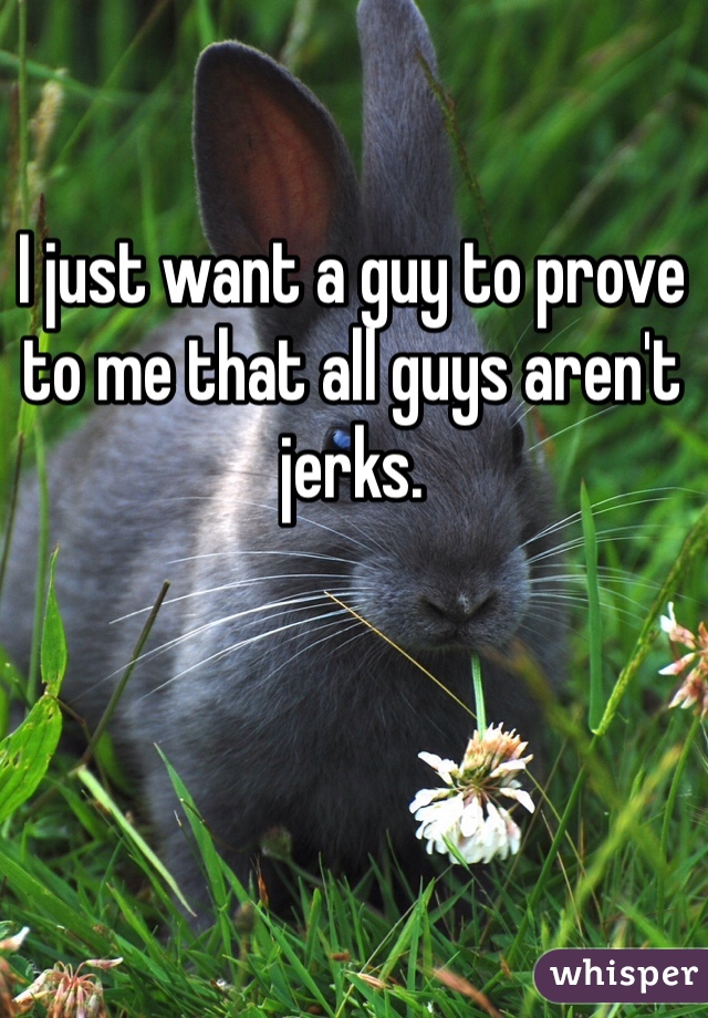 I just want a guy to prove to me that all guys aren't jerks.